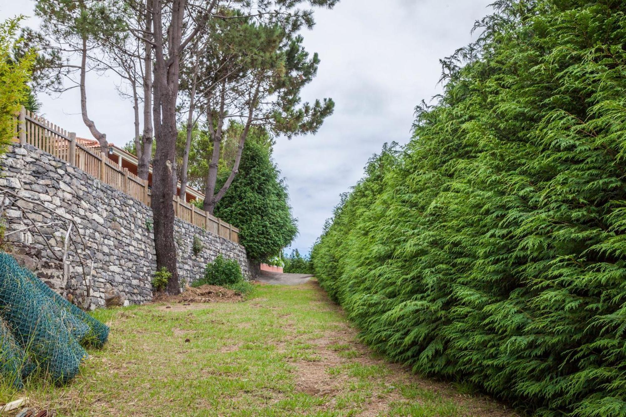 Quinta Do Santo By Lovelystay Santo Antonio da Serra 외부 사진